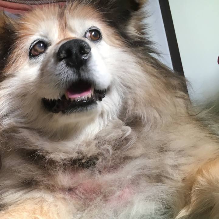 951c512b 8446 4796 8286 76267a704cd7 1588668917615