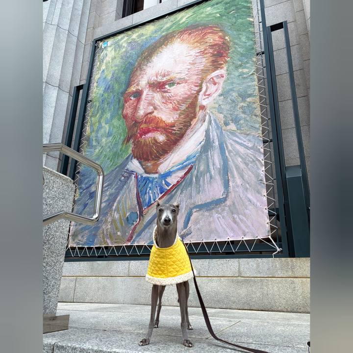 951c753a bf11 484d 9976 100f766848fb 1760865895688