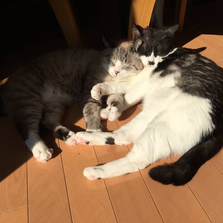 951c98ae e069 4773 b7f1 10772f7bf4f3 1552608045472