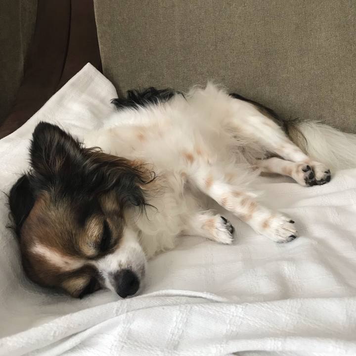 951caaec 52aa 457b 8623 6650c8350b2c 1564358082015