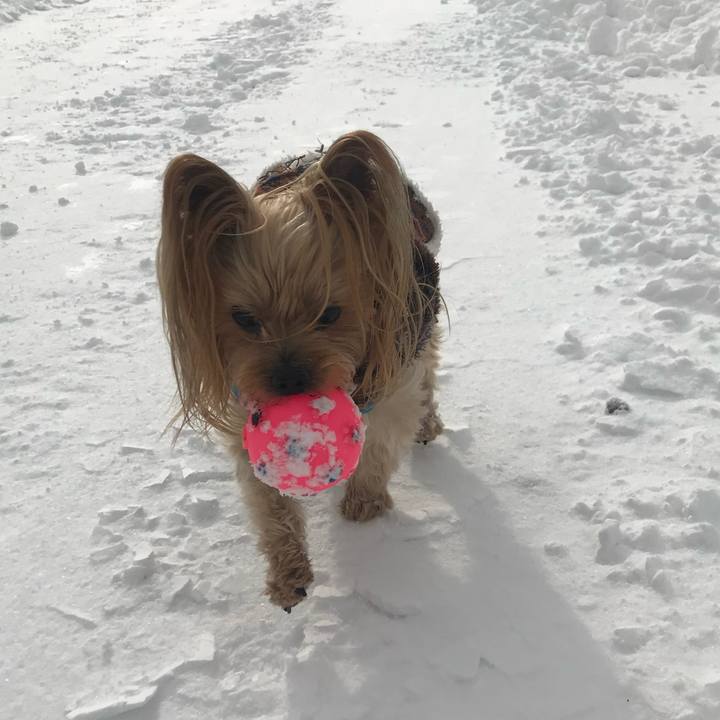 951cc54e 444a 4c33 9e5f 0da655df48db 1733317591957