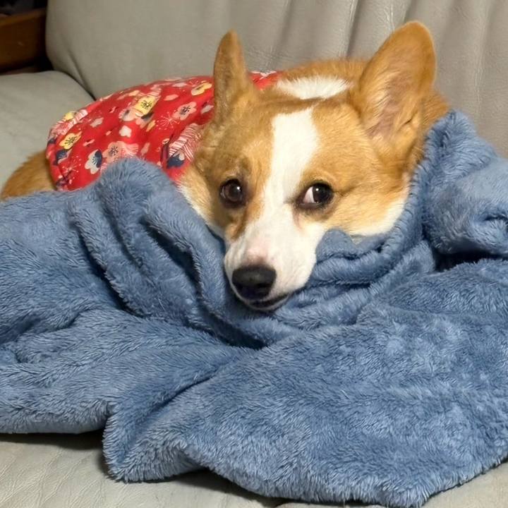 951cf747 b5a5 411d b5a9 0422b1254f50 1772982699809