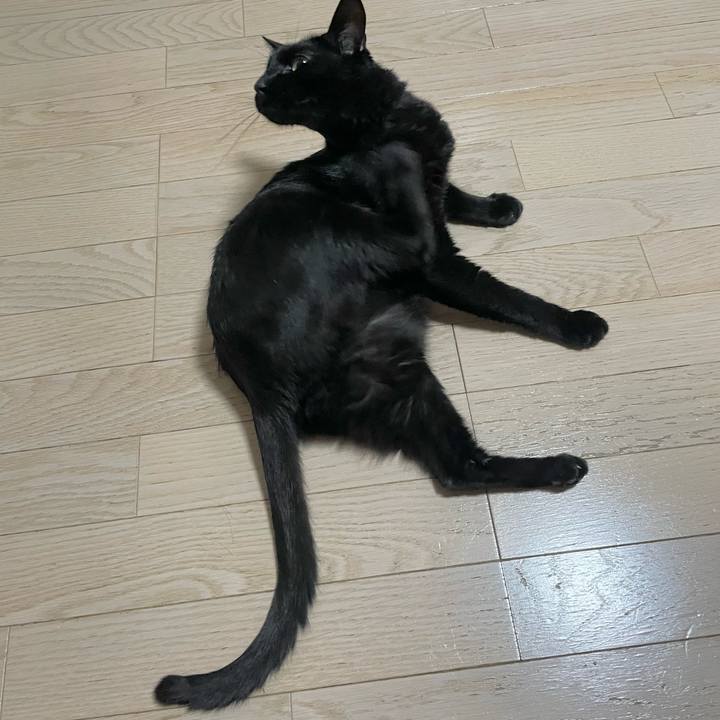 951cffa1 82dd 42f8 a571 3d1b9c45d2ac 1690200441013