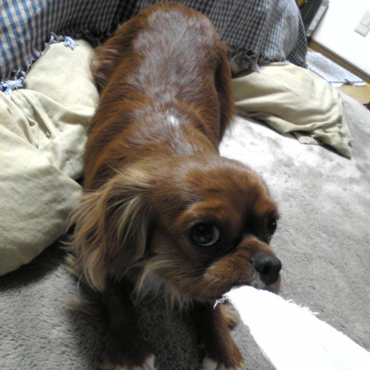 951d3126 3264 48da 8847 dd35e1be8019 1515314031043