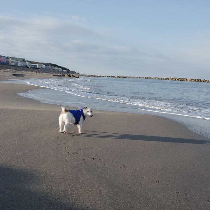 951d69f6 6b57 4b1e 90d3 7be5f20ecc34 1577593218952