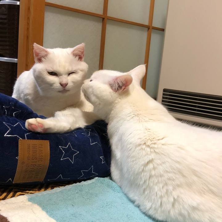 951d7c61 cfd8 404e 8dcd e1d964ef8cf9 1577102023640