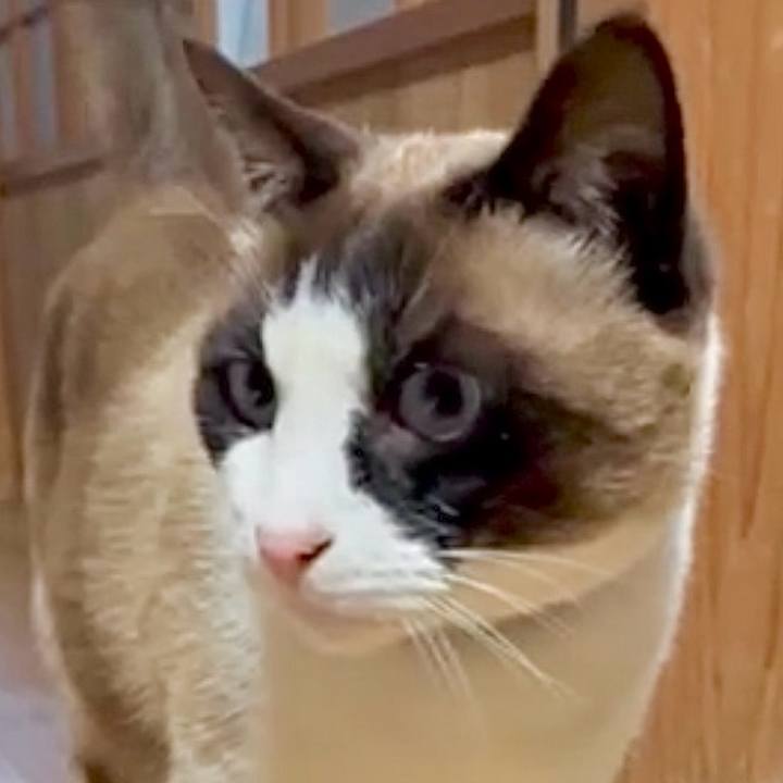 951da697 704d 4124 9430 58a91cab052e 1775729263945