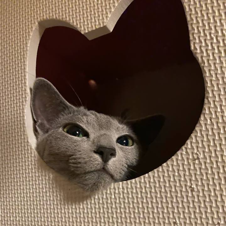 951dac56 d3f4 4f07 80d8 b5c528f61191 1626664027759