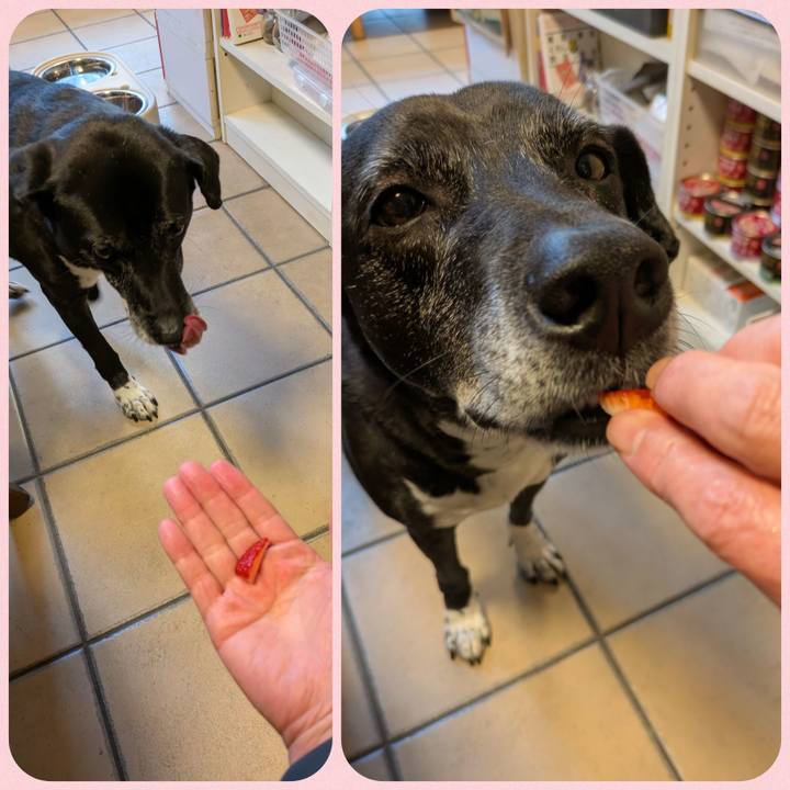 951db1f2 fe6e 4e69 b3bf 59b09ebec2f8 1746503267884