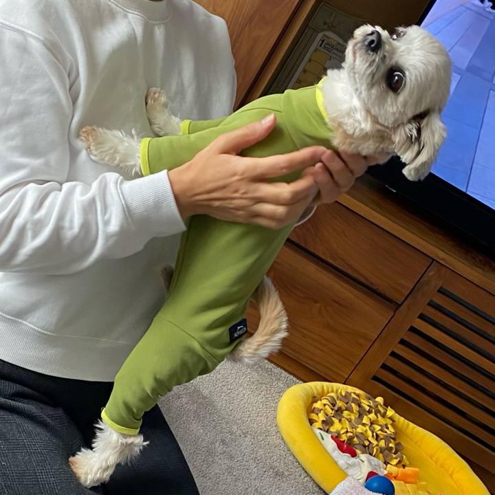 951de9ab b9a3 4854 8715 1f801bdcee31 1641806245524