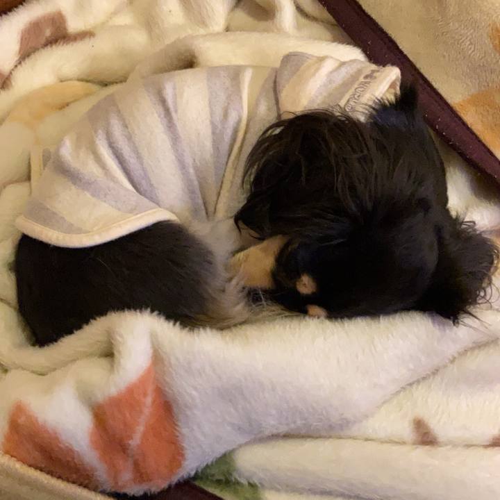 951e09a3 f991 4c08 89da 3d0ceea29736 1736286382084