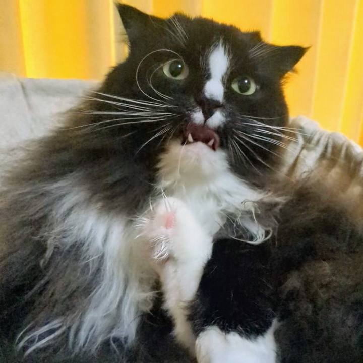 951e183f 0119 46df b8a5 19cc95636706 1733354955379