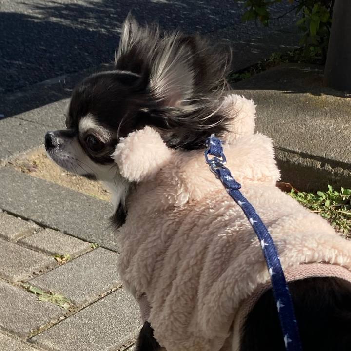 951e525d f056 43f2 b825 a67f458ad219 1641216637772