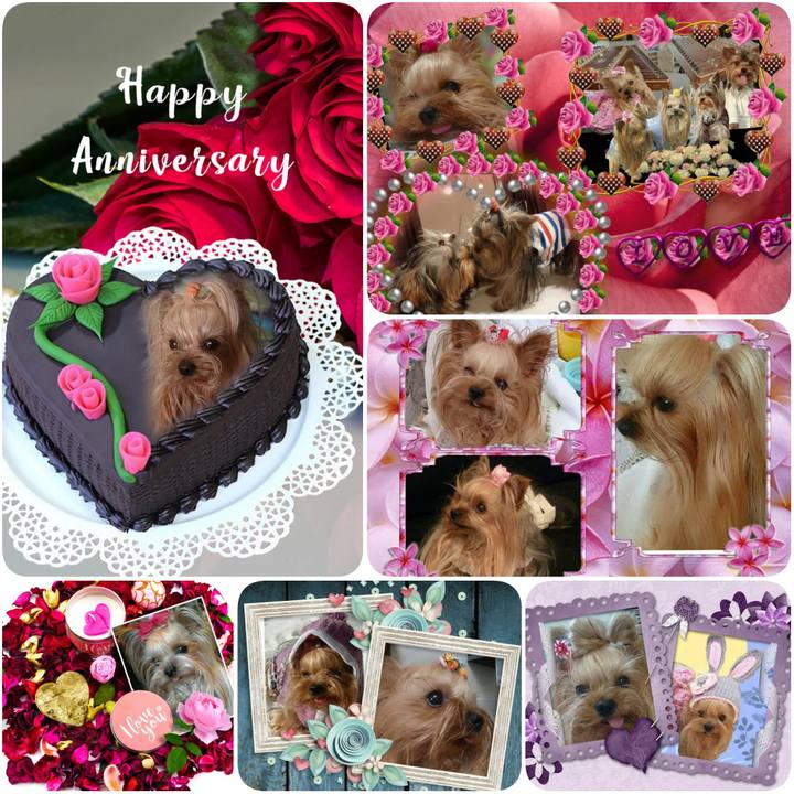 951e9849 2036 4096 bc16 607b73acbc6b 1632961416919