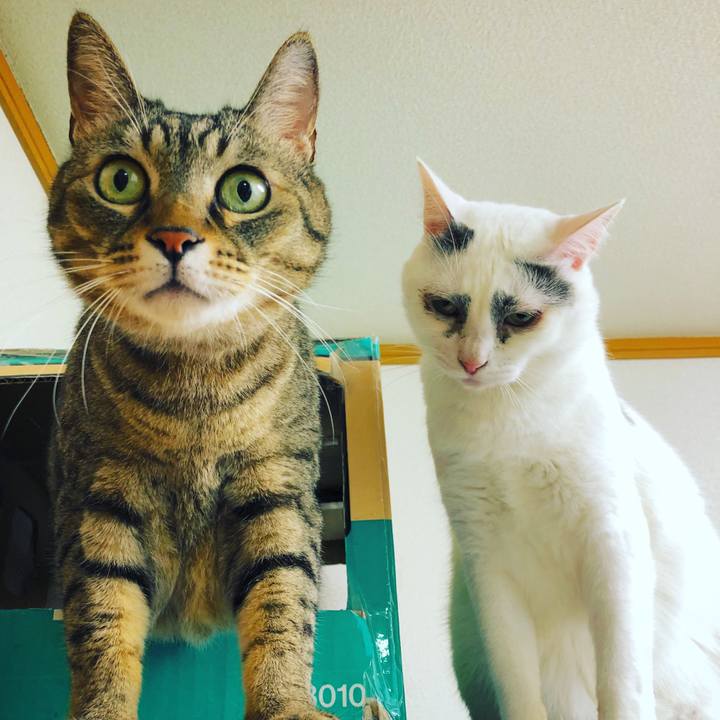 951ecc1d 198d 48a5 955f 099364daa480 1530227367950