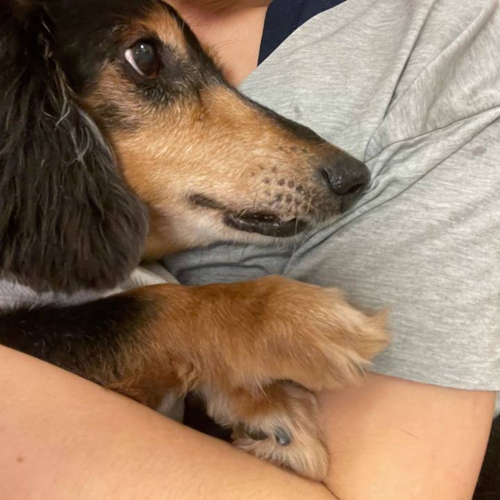 951ed292 679c 4325 a53e 0ba3c95e5f66 1629633789253