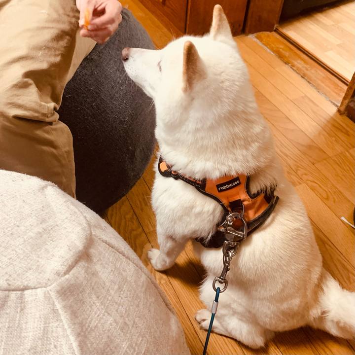 951ed466 c12e 4354 9dd1 d6e301747f3a 1669275945310