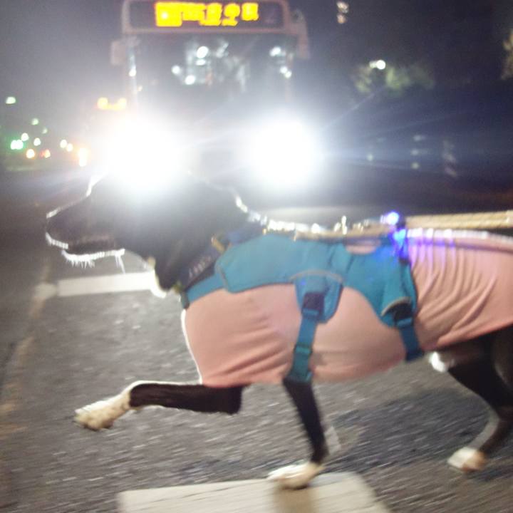 951ef595 bd43 4acb bea0 eb9d3c4cb2b0 1671447945330