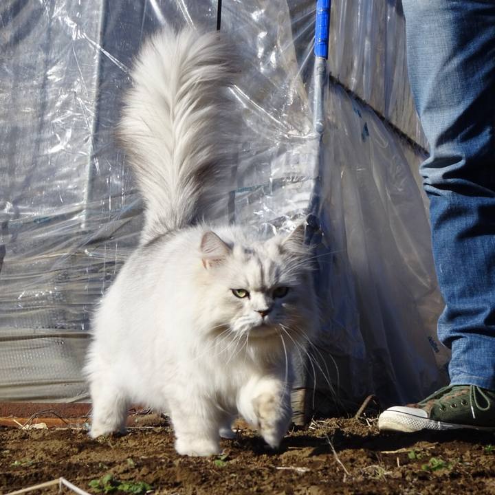 951ef6b3 c794 492a a878 147b3a6d9586 1516371359479