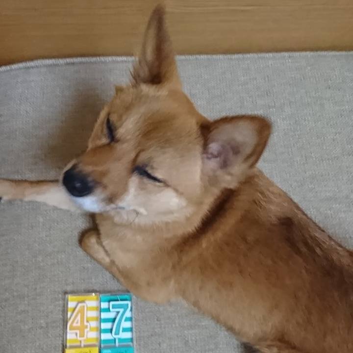 951efa59 a9bb 4508 bf10 cc9636b80cf5 1532782004309