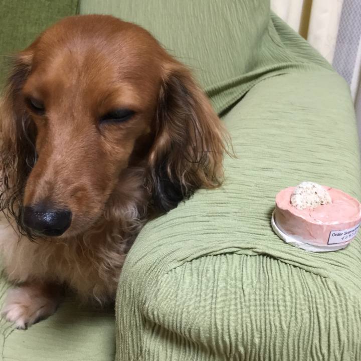 951efef6 b549 4919 b16a a2b9ee9f7635 1508151338034