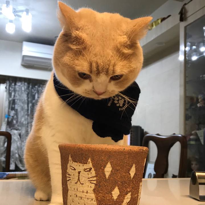 951f5308 6584 4f1f b5da b455113e0d00 1508121547446