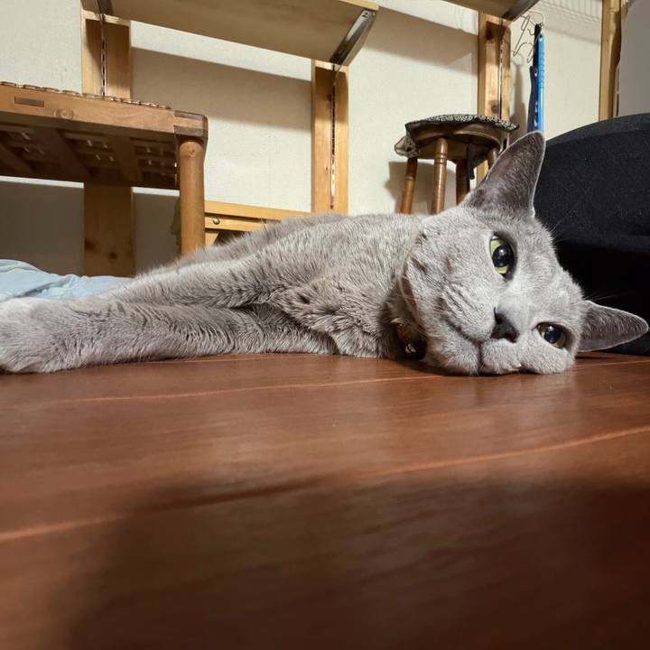 951f6775 6447 4720 990f 8a6d26913ff8 1771154763908