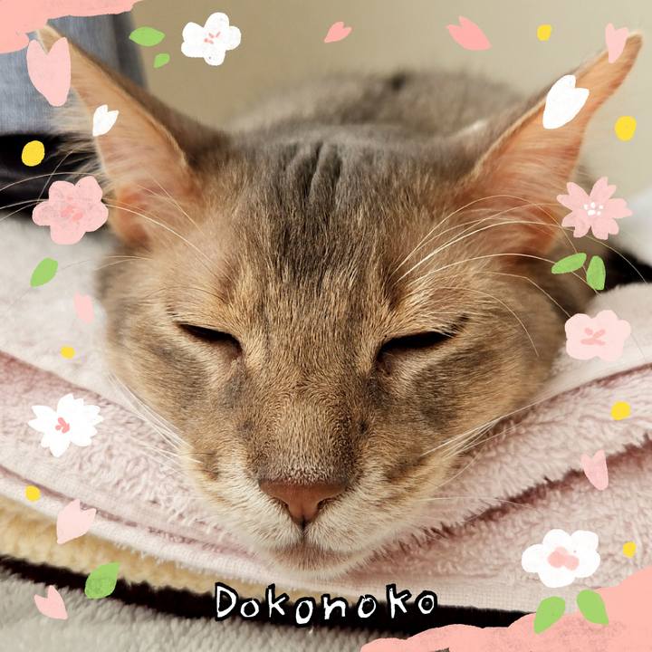 951f960b 5f11 4e2e bb1c d7da9ce518e9 1710989287664