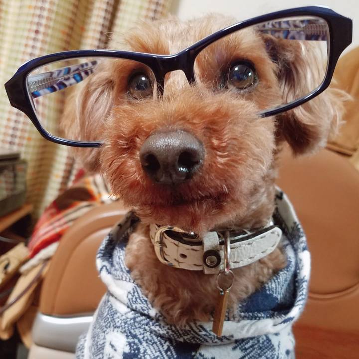 951fa828 5d06 4c98 8936 2793a44df5a2 1544959396664