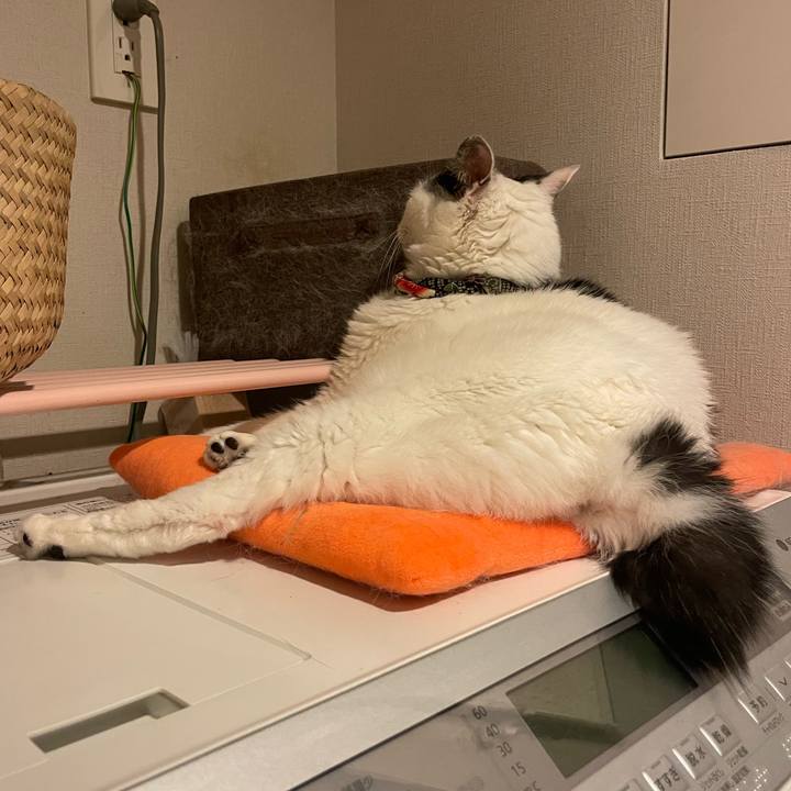 951fd70d ddbb 47c3 9939 2556e3fdb2c3 1760356845197