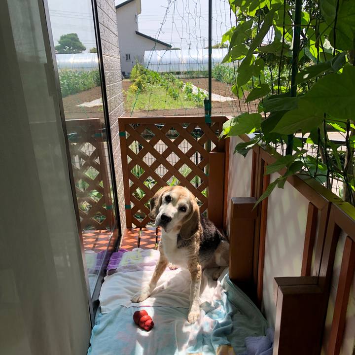 951fe82c ec2d 4047 885e d54bc8c4b6c2 1597312197059