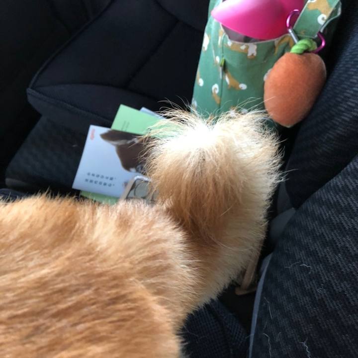 9520181e 521f 4954 8722 aa770e24e7f2 1558686771499