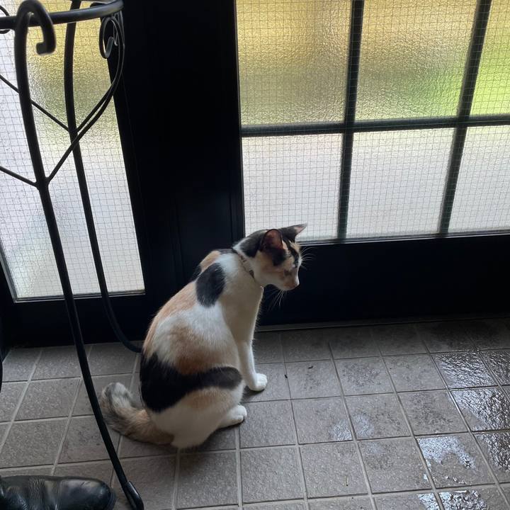 95201d54 85c4 4c76 aa7a 685d2da5bf54 1684755624588