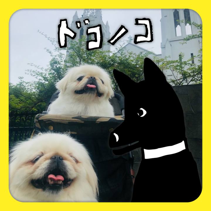 95203f15 43da 4e71 89c1 acdb61b48af2 1623548553229