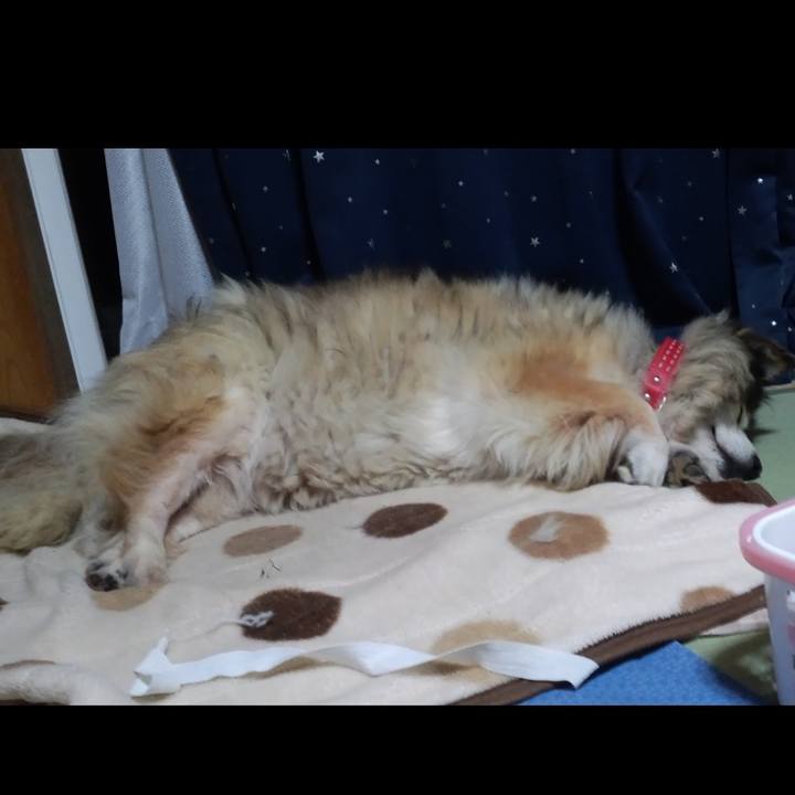 9520458e b5a5 45cb 803a 5f2dfce3a814 1602314992335