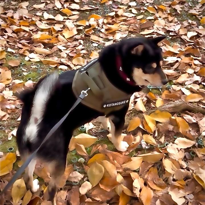 95205bb7 101c 43fe a6e9 b1d216311e59 1736051220167