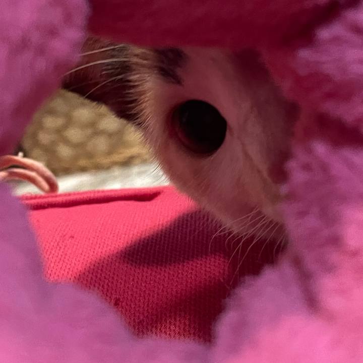 95206ad5 f093 4e60 ad77 10aff5bbd5d5 1674469856631