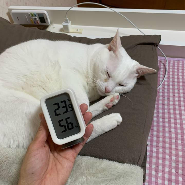 95206e35 c263 4dc1 a066 d7e81d9ded1a 1634567223204