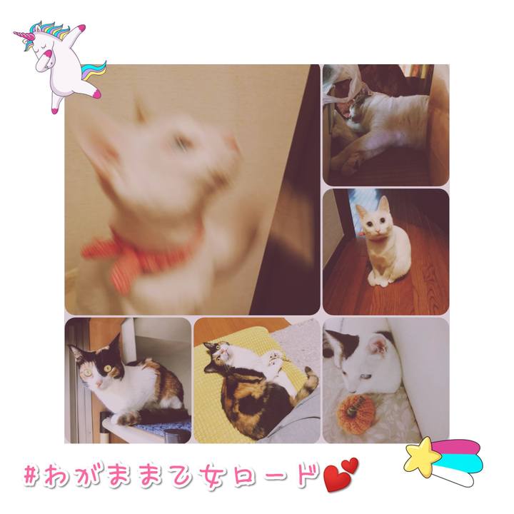 952075ed e99d 4016 bbd3 41f57268b864 1567774388774