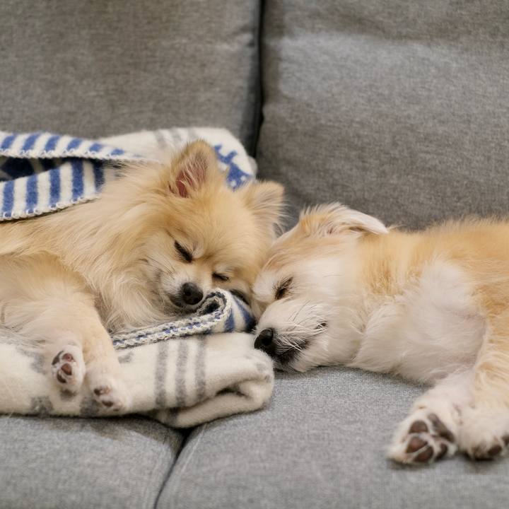 95207db6 6b4e 4ca7 a5b9 1f09031e04d7 1769694128698