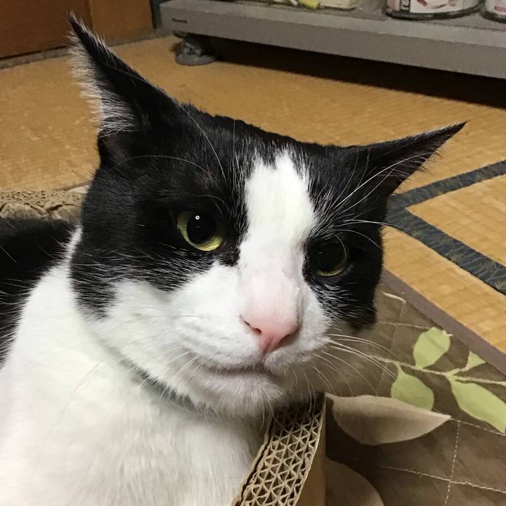 95208f5a e9e1 4405 81bb ea52bdc58ac4 1734846728985