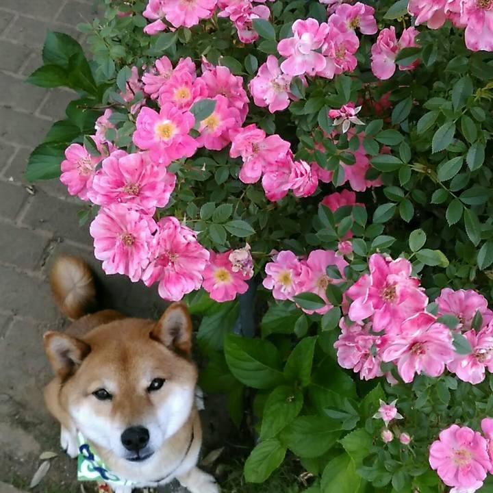 9520f735 dd67 429c a6f7 eb4efac6c143 1558957101885