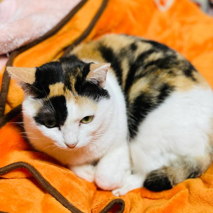 95210571 d953 48cd aad1 74d7177b9cfe 1610247498843