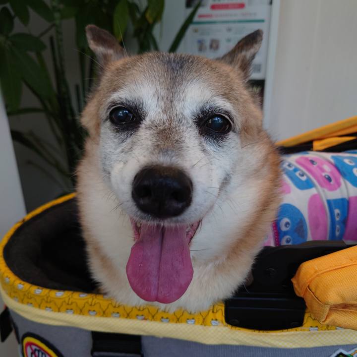 95212dd2 565f 4368 875a 810894ad63ba 1692434367741