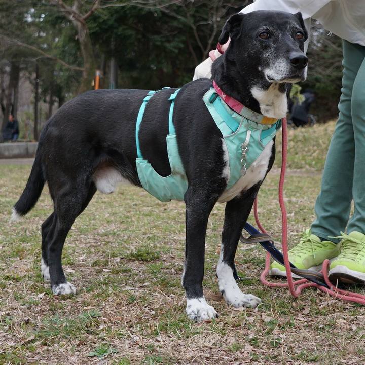 95212fe1 7bfc 4815 a2e6 081ace31af07 1773708978668