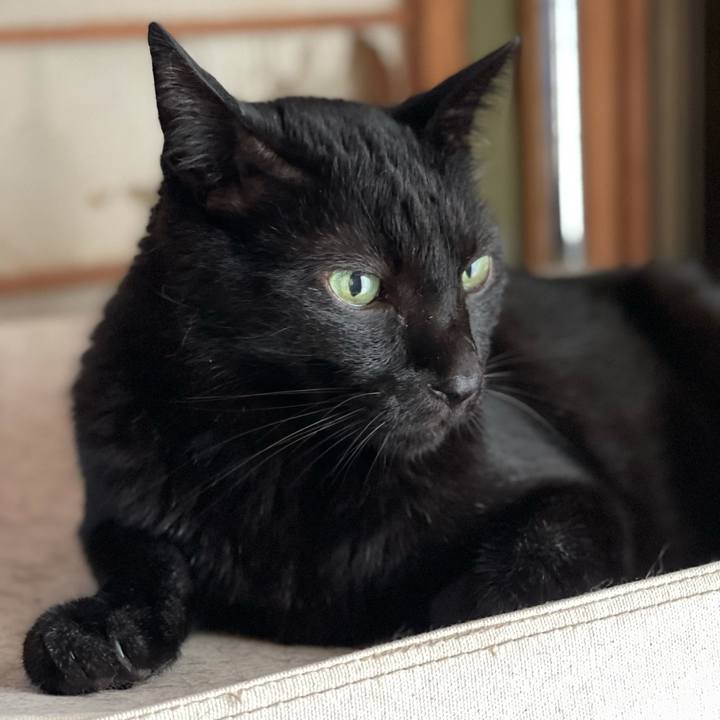 95213a2a 4704 442b 9d30 1d2039eab6a6 1631671280195