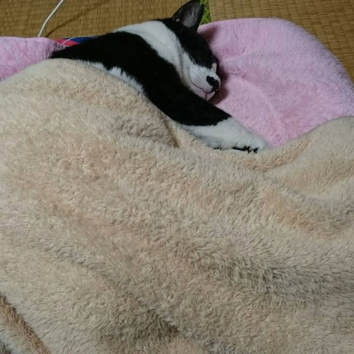 9521426b 4323 48b3 ad1c e5ff95e9db79 1508336113818