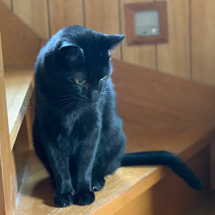 9521545c 38ff 411b b3fd 851cd5547b06 1601687938887