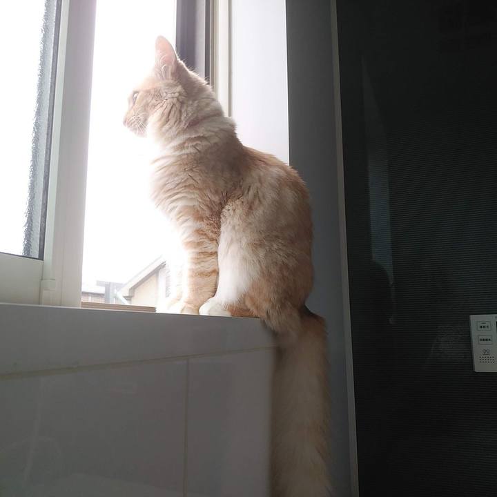 95218476 d430 4b4c b54a 10a550010c4d 1629807053294