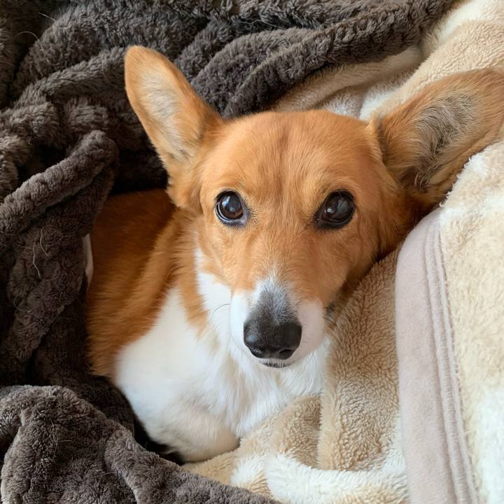 9521ba84 0157 4fb4 9ee0 f61a55785a65 1645050056682